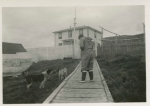 Image of Miriam MacMillan looking at Eskimo [Inuit] dogs
